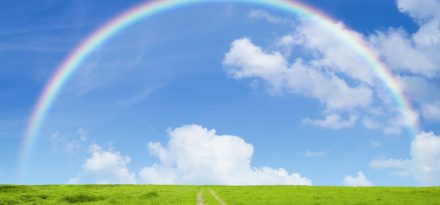 草原の道と虹