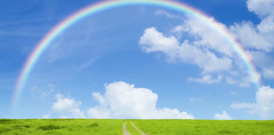草原の道と虹